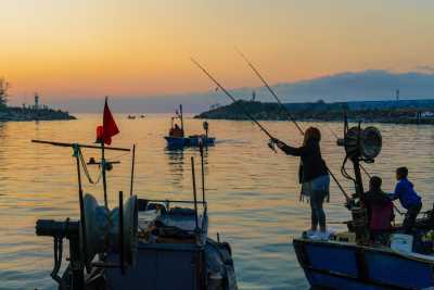 Olta Balıkçılığı